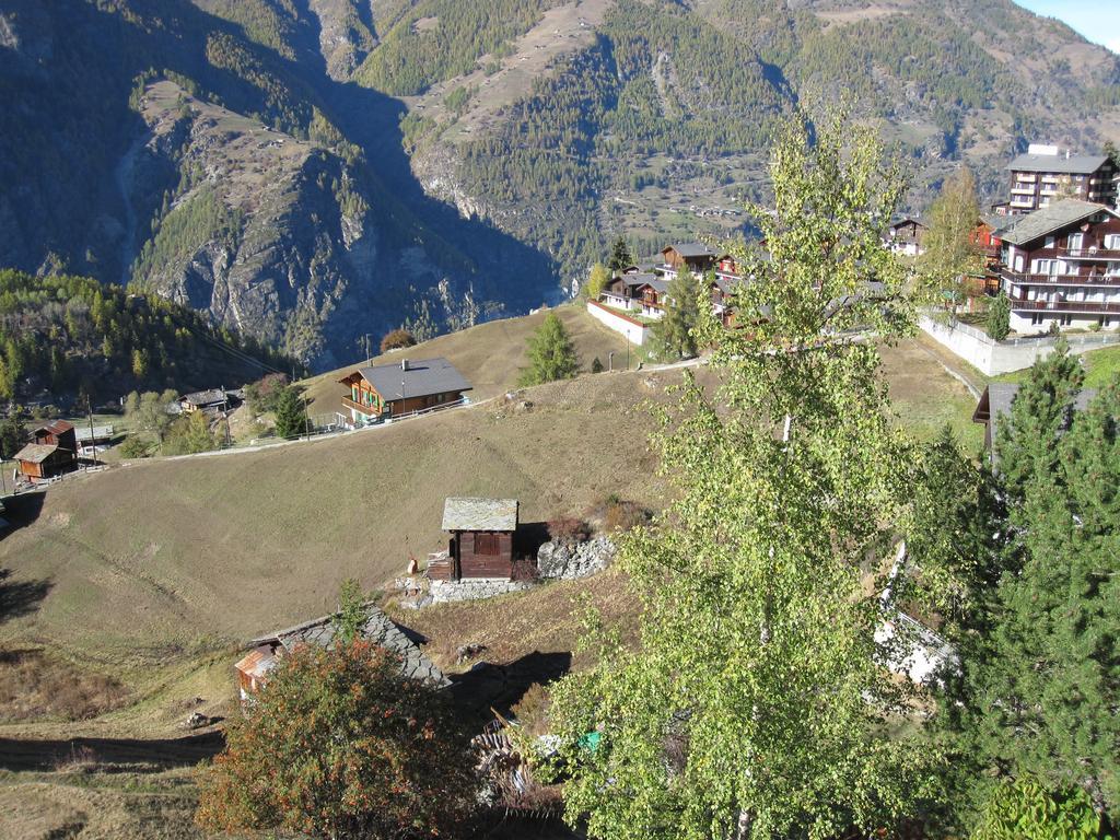 Haus Waldheim Grachen Apartment Exterior photo